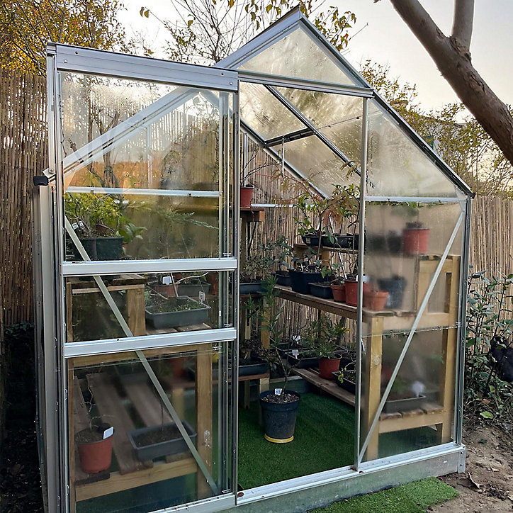 Serre en verre Lams Allium alu naturel 2,50m²