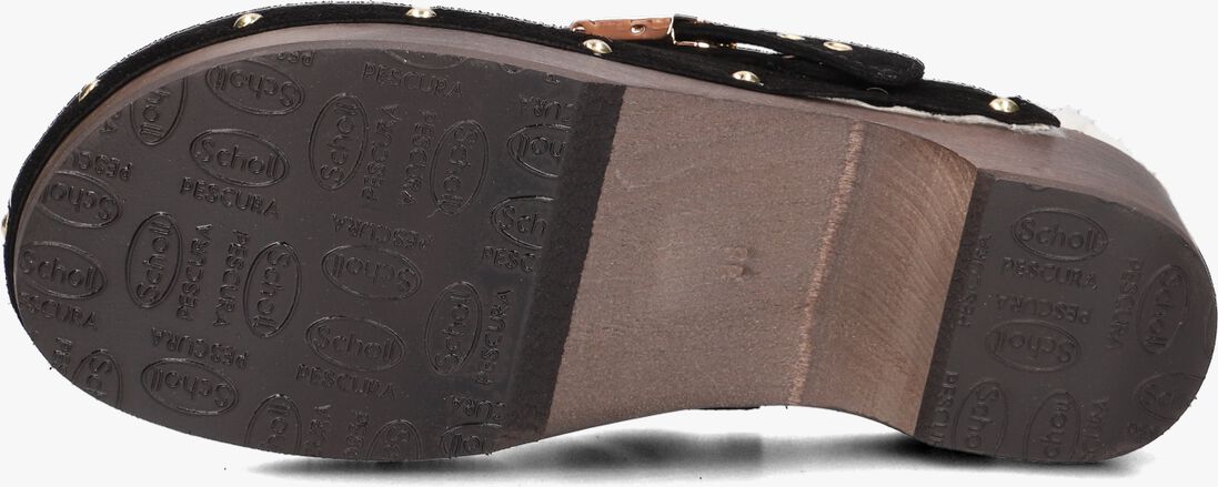SCHOLL zwarte scholl  pescura robin