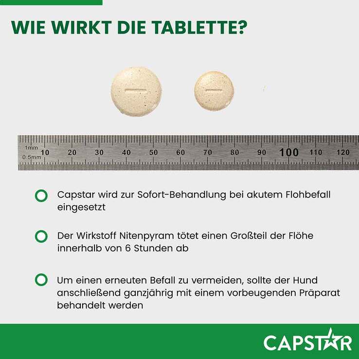 CAPSTAR 57 mg Tabletten für große Hunde, 6 St