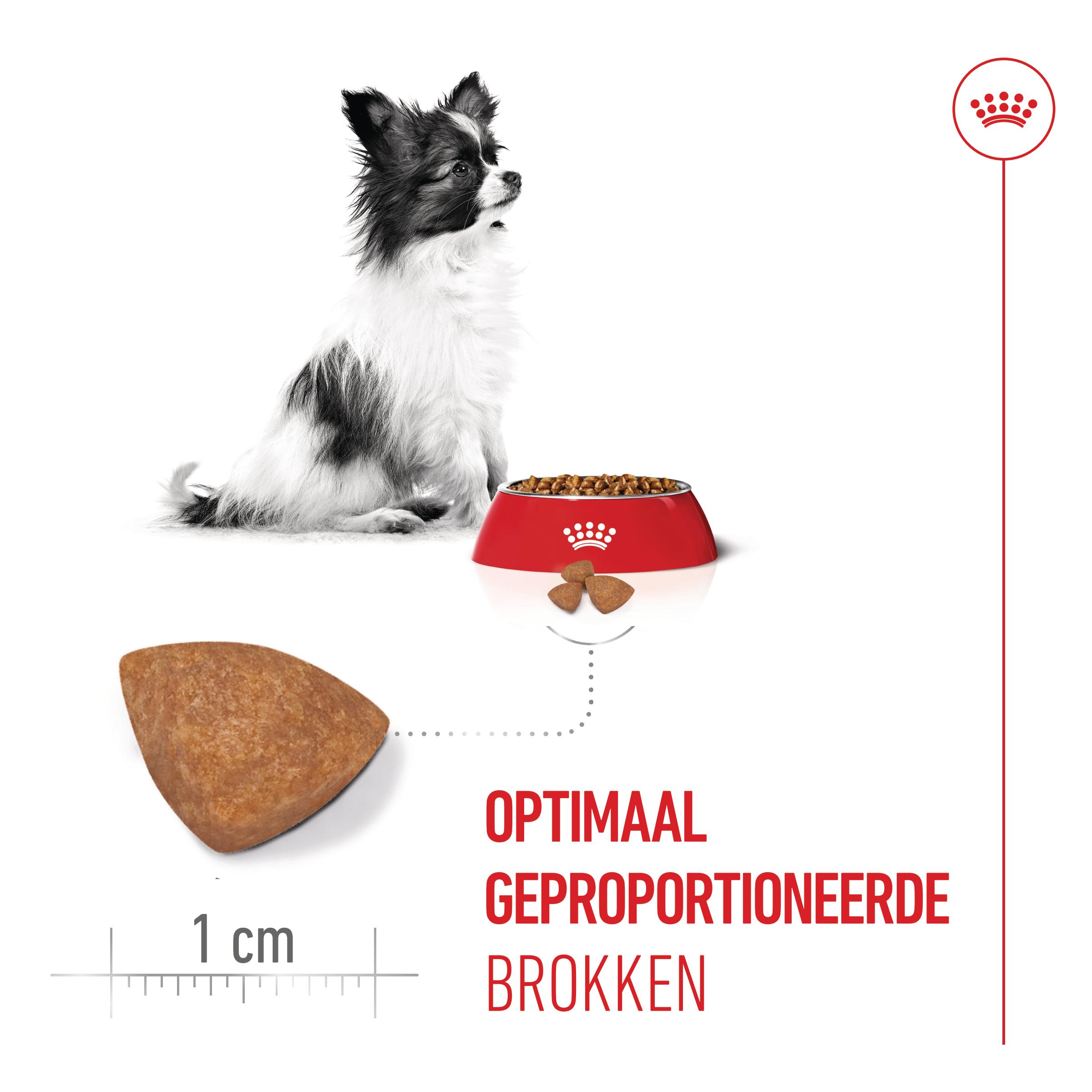 Royal Canin X-Small Puppy - Hondenvoer