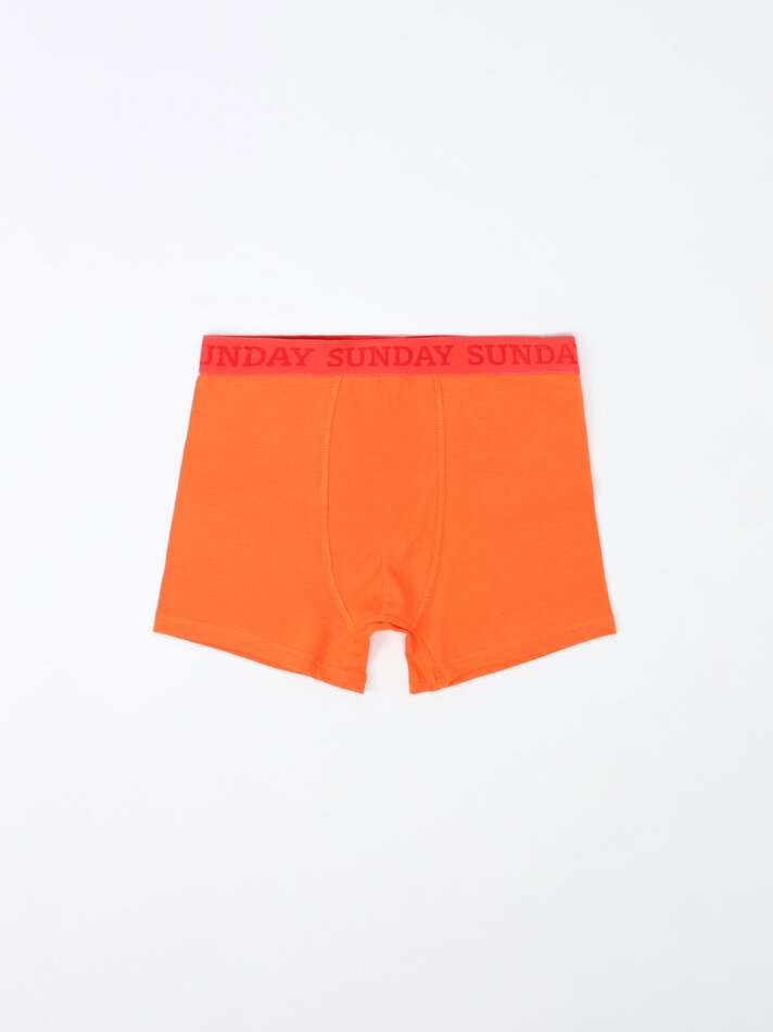 Pacote com 7 cuecas boxer para os dias da semana - Variadas