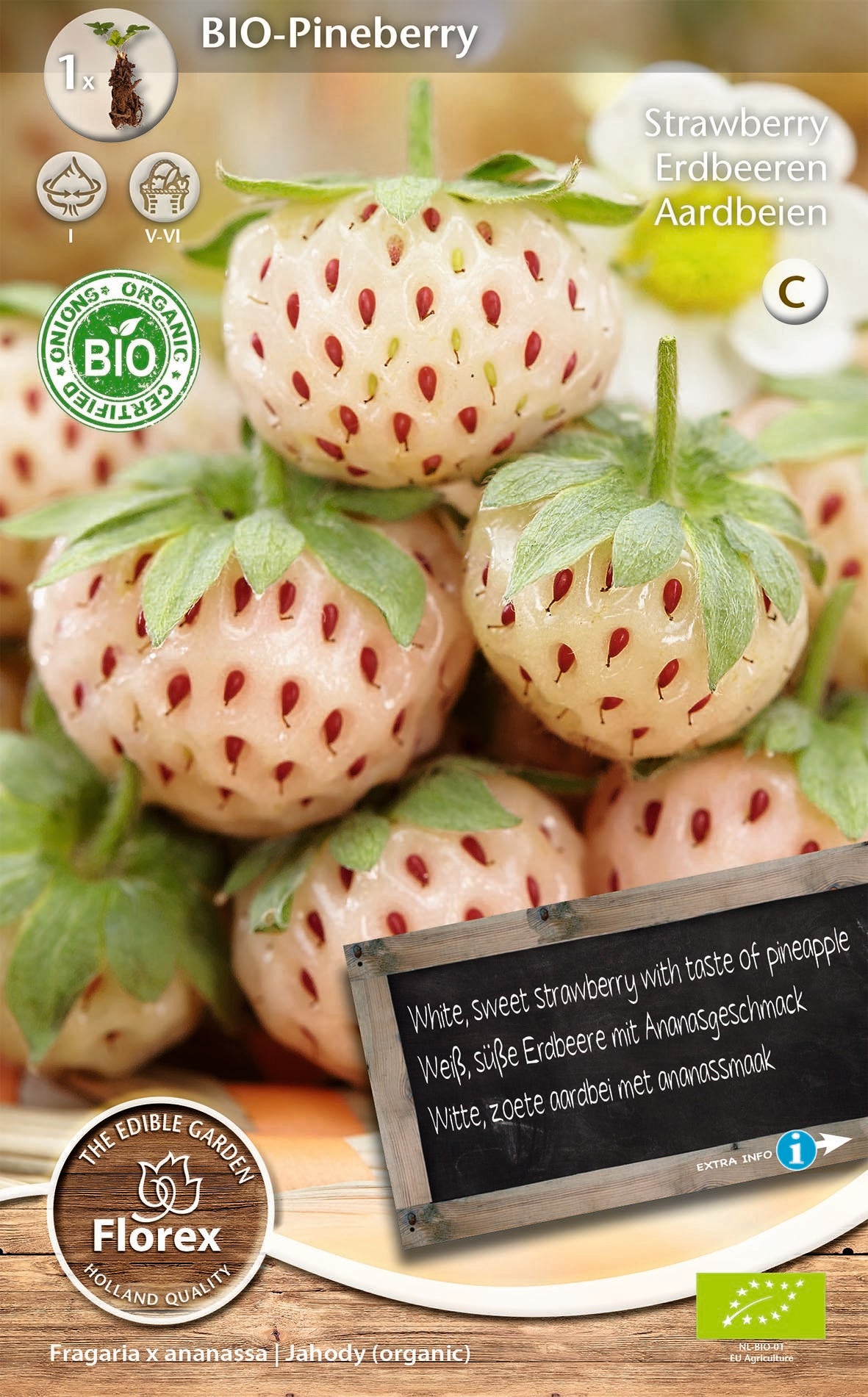 Florex bio aardbeien (Fragaria 'Pineberry')