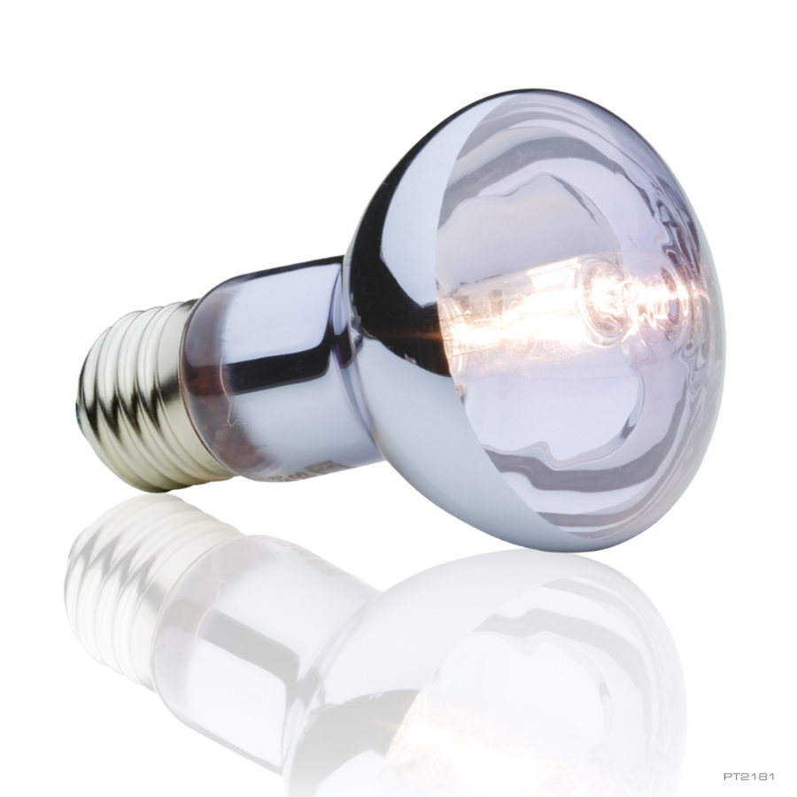 Lâmpada halógena Exo Terra para répteis, 25W, com ponto de aquecimento.