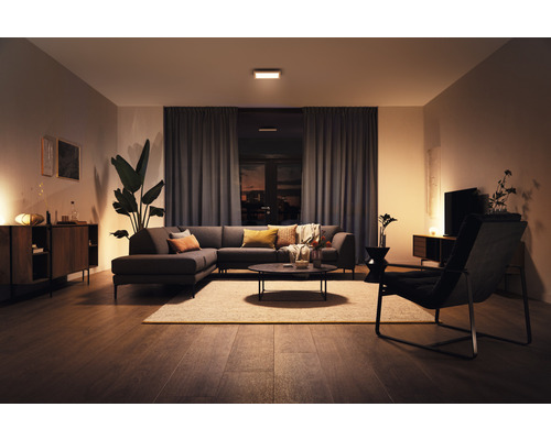 Philips Hue Paneel White Ambiance 46,5W 3550 lm 60x60 cm wit + dimmer - Compatibel met SMART HOME van Hornbach