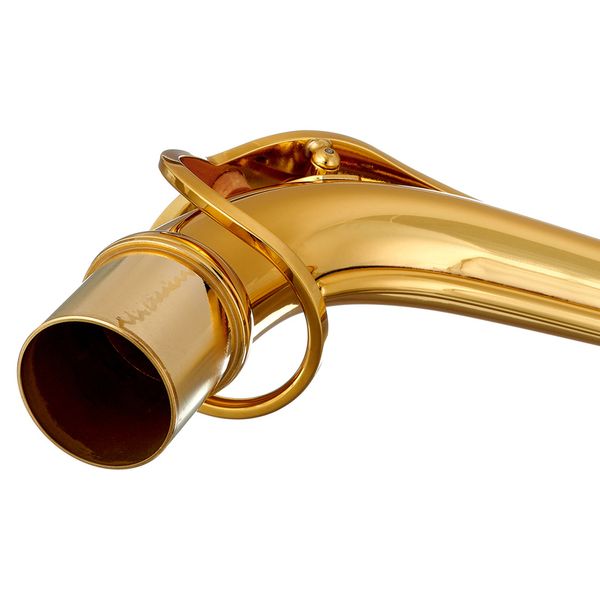 Selmer S-Neck Alto Signature Dark G.