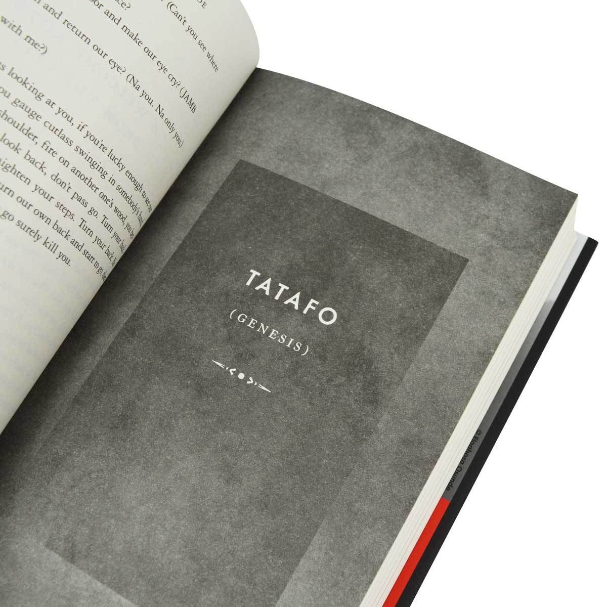 Vagabonds! (Hardback)
