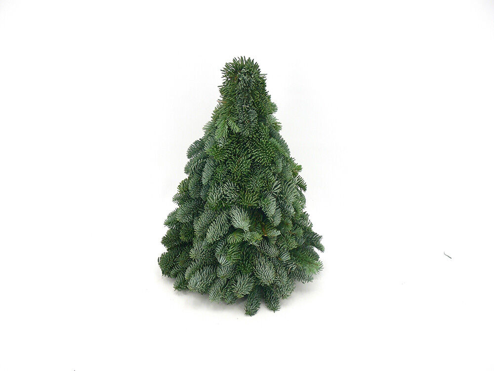 Kerstboom Nobilis - 30 cm