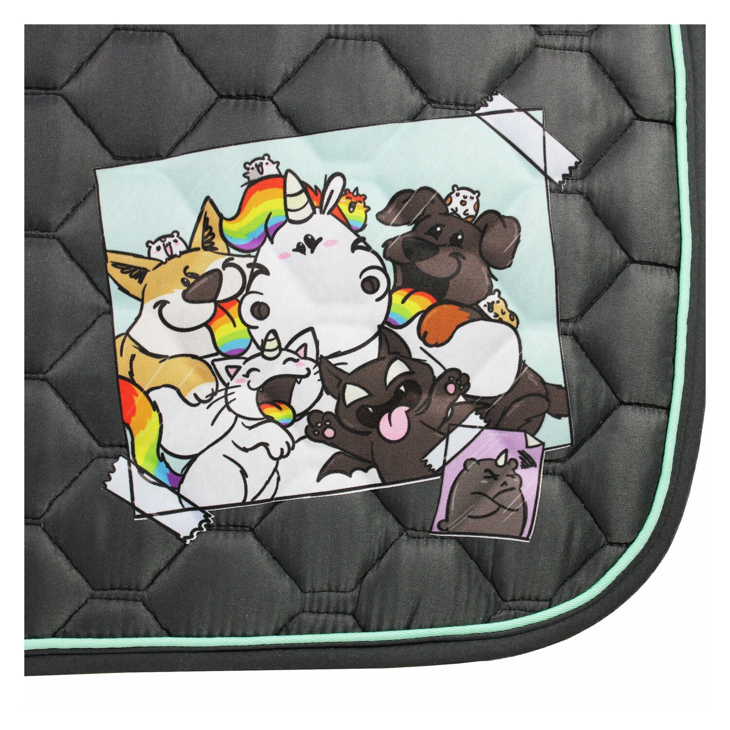 EQUEST Pummel Pets Friends Schabracke Macro Argon - anthracite