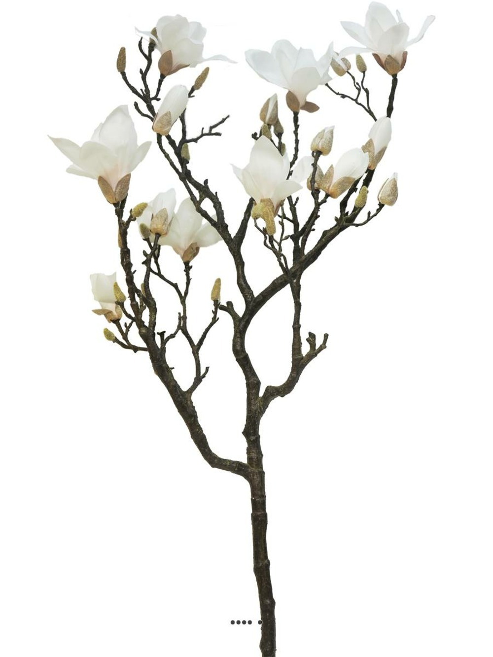 Fleurs de magnolia artificiel en branche, h 128 cm rose-crème - best - couleur: