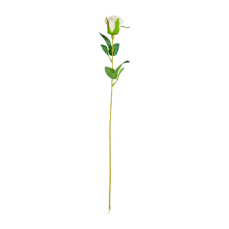 Roos wit - 56 cm