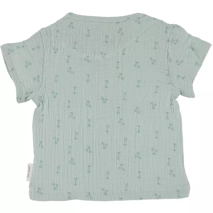 Sterntaler Set Shirt+kurze Hose Palme mittelgrün