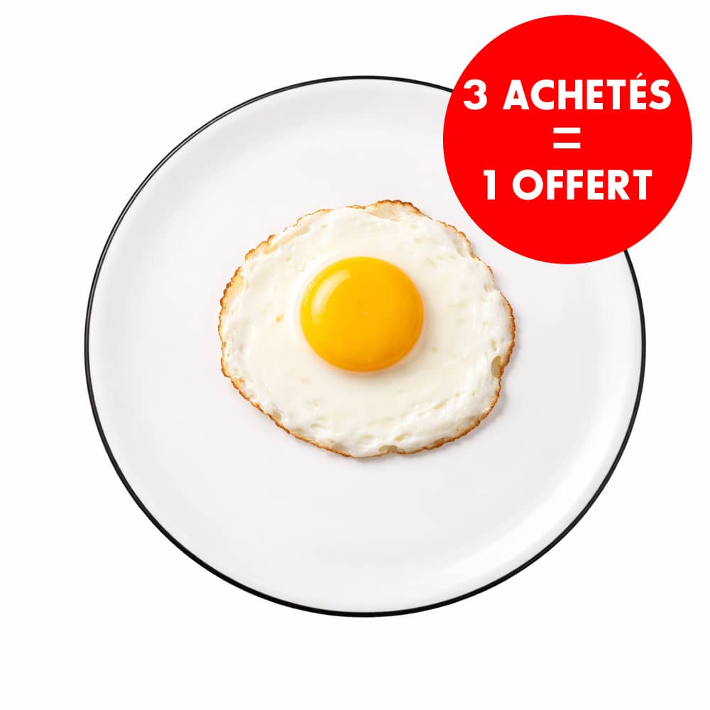 Assiette mélamine BRASSIA 25cm