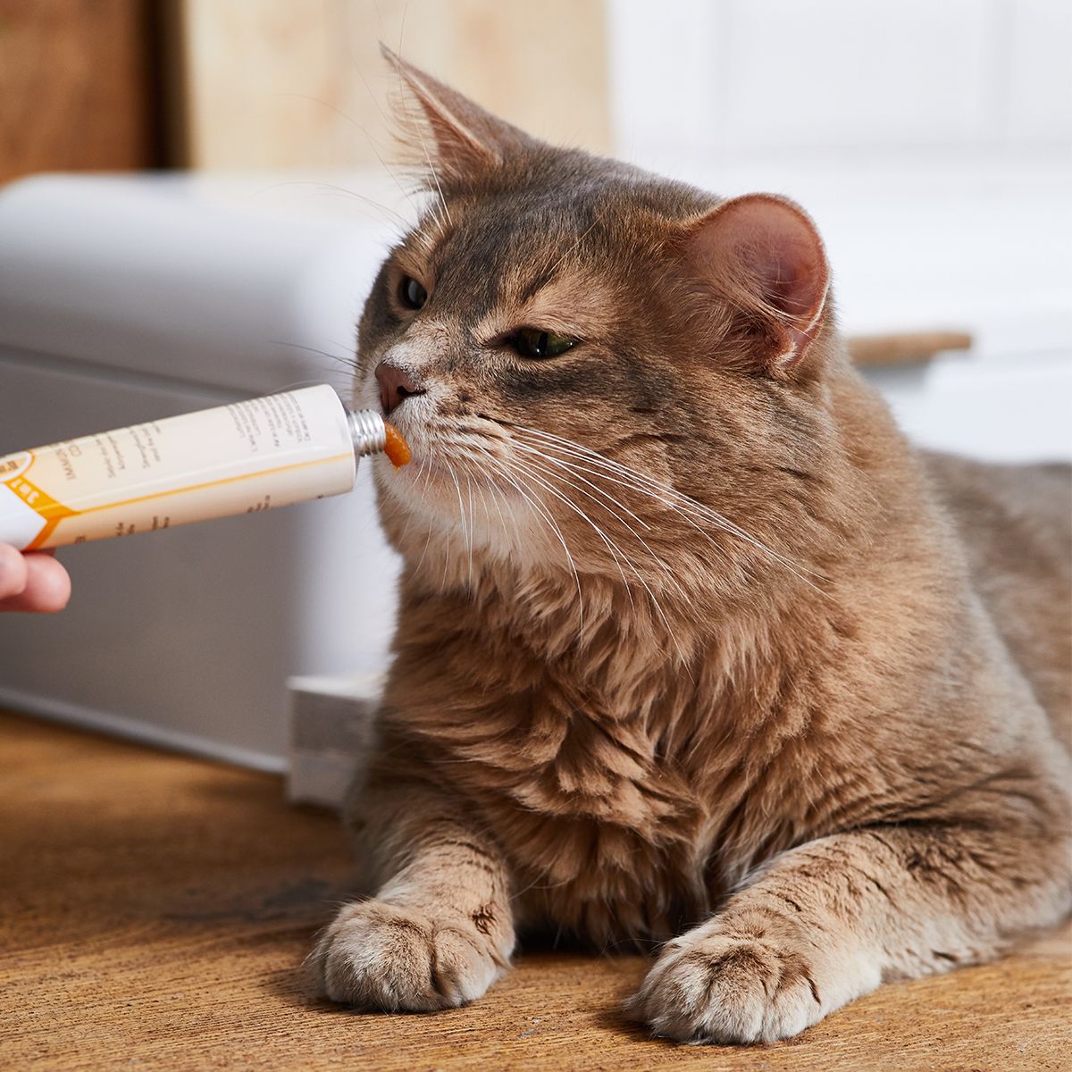 GimCat® Multi-Vitamin Paste