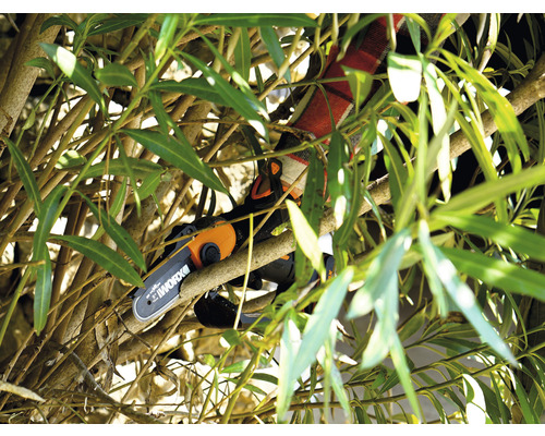 WORX 20V 12cm snoerloze snoeizaag/minikettingzaag/boomsnoeischaar WG324E.9 + GRATIS bonusartikel: 20V accu WA3644 (4,0Ah)