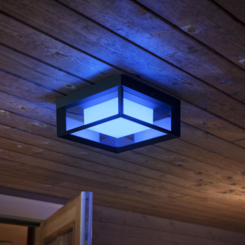 Philips Hue outdoor buitenlamp Econic zwart