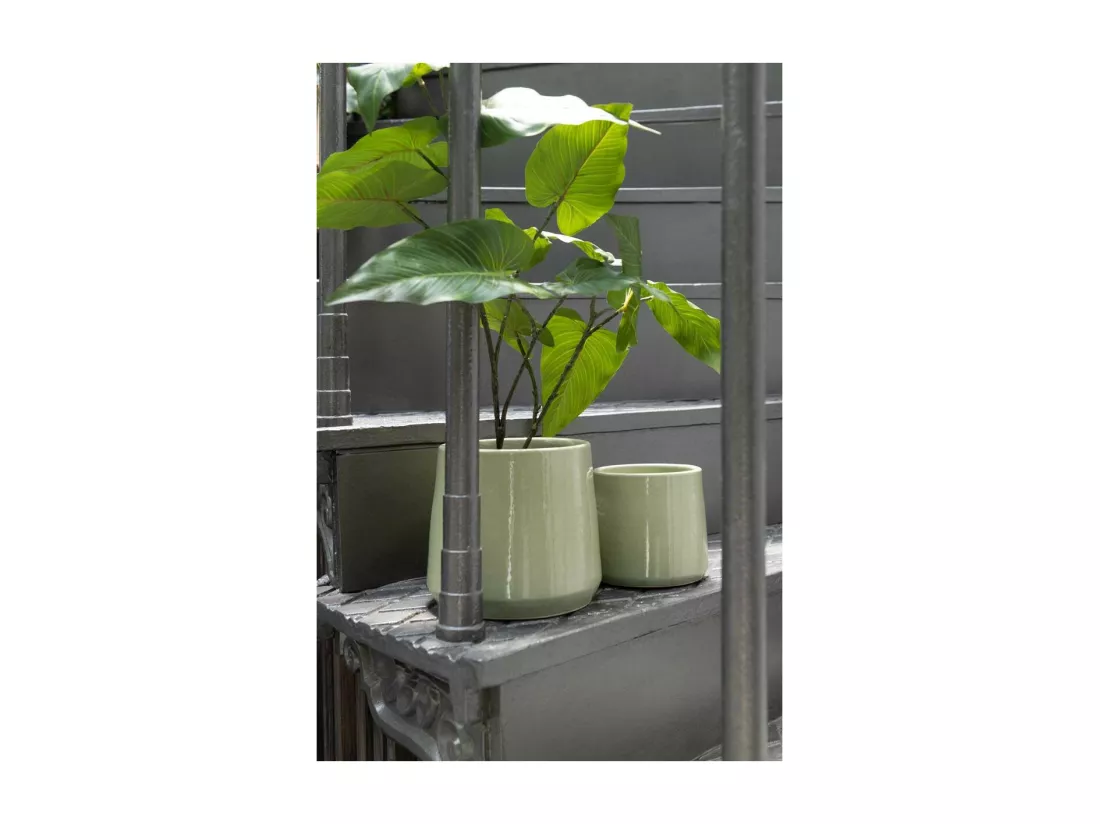 Cache-Pot Design 