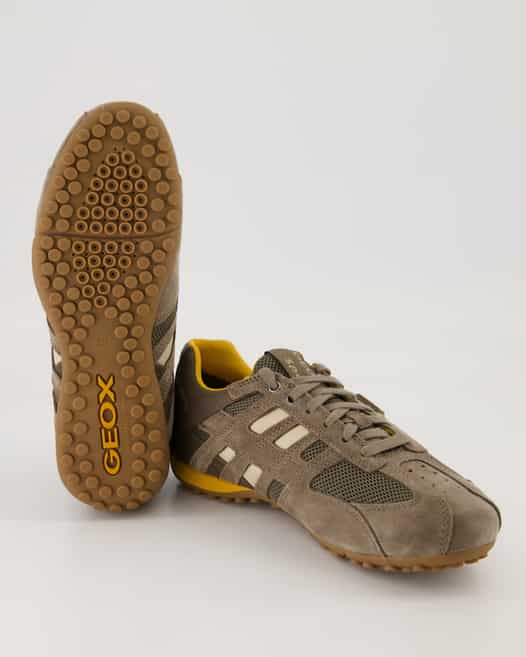 Geox UOMO SNAKE Sneaker in Braun