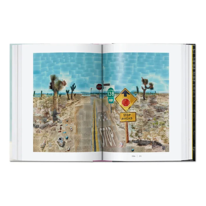 Taschen David Hockney. Une chronologie. 40th Ed.
