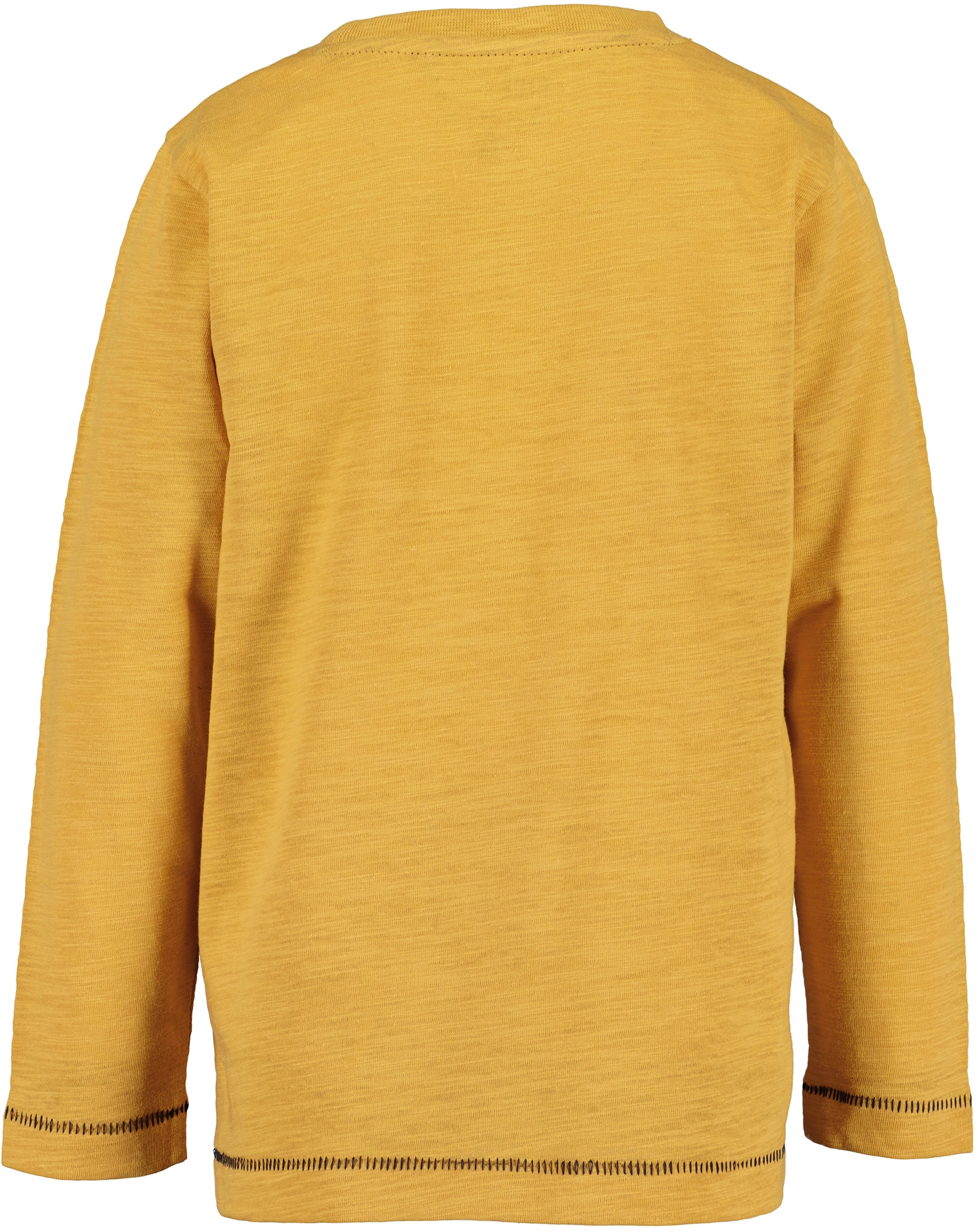 Langarmshirt GREAT OUTDOOR in honig