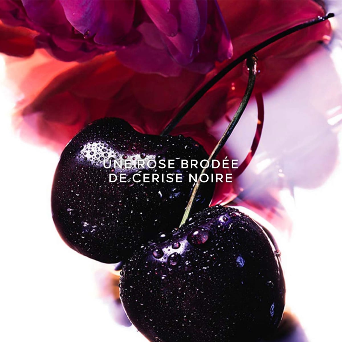 GUERLAIN La Petite Robe Noire Bain Satin Sinon Rien