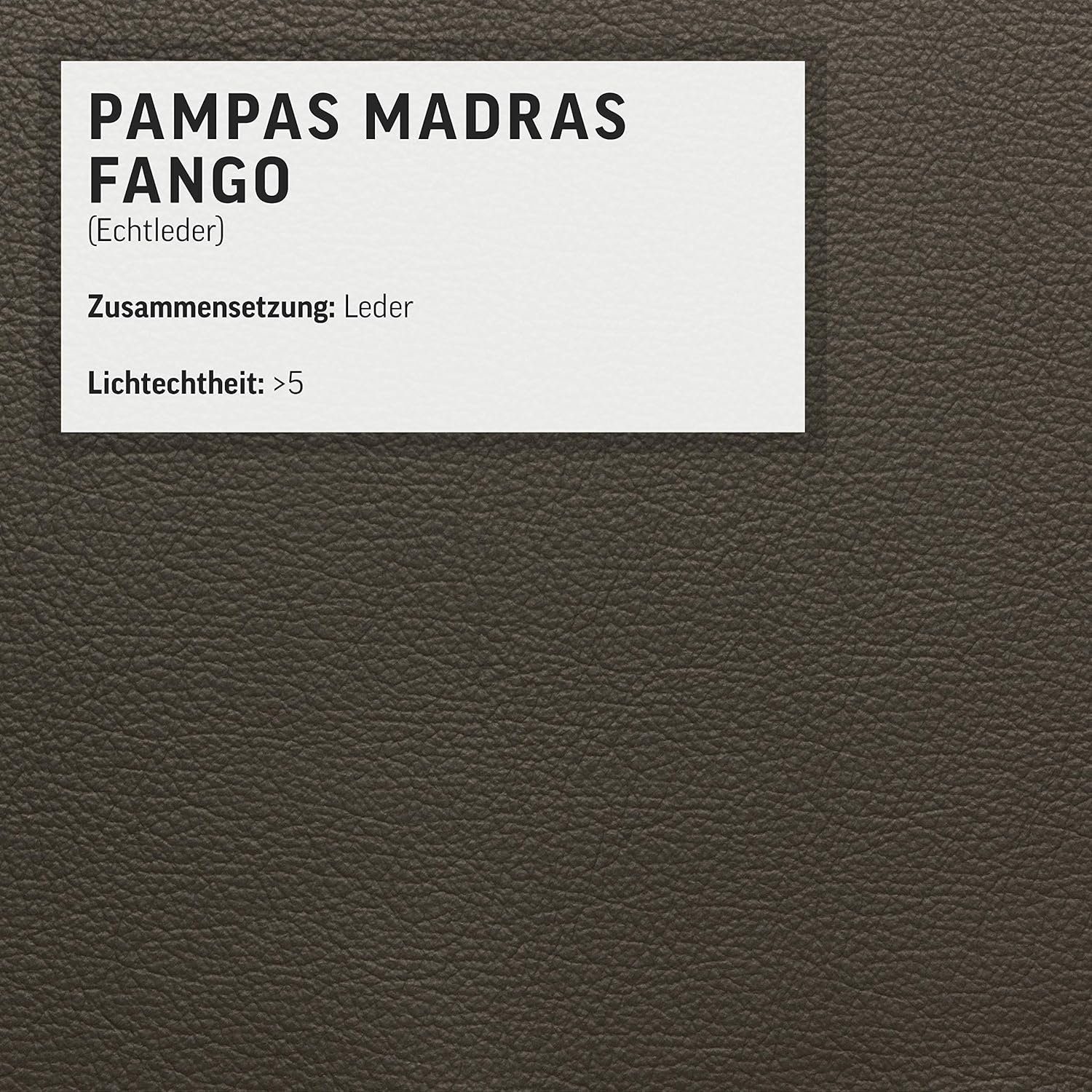 Mivano Ecksofa Felipe in Echtleder / Moderne Eckcouch mit verstellbaren Kopfstützen / 292 x 73 x 233 / Leder Fango (grau)