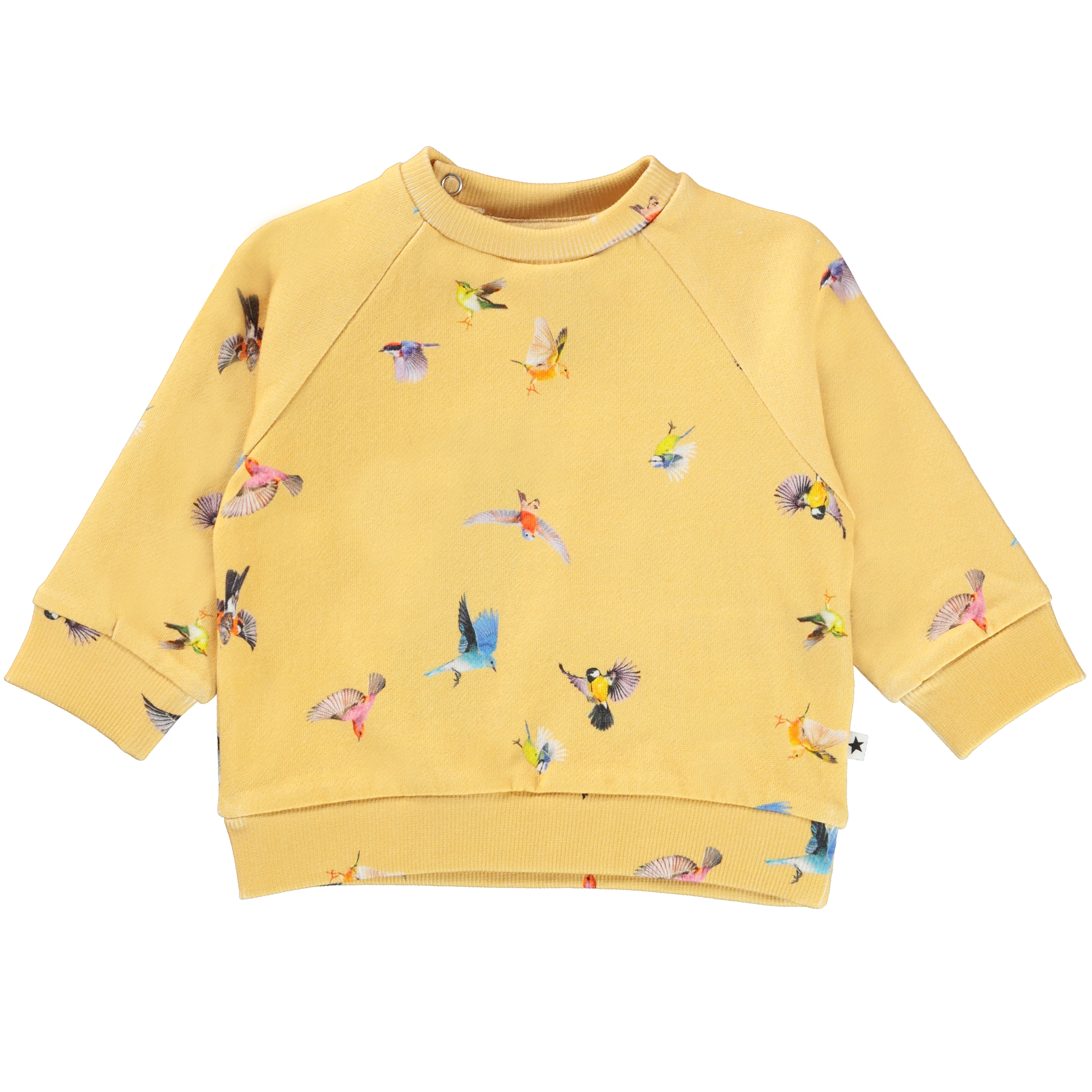Dicte - Mini Birds