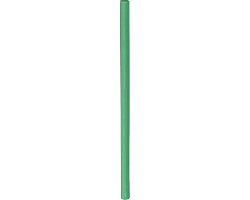EASYmaxx Afvoerontstopper Sticks Appel 50 Stuks