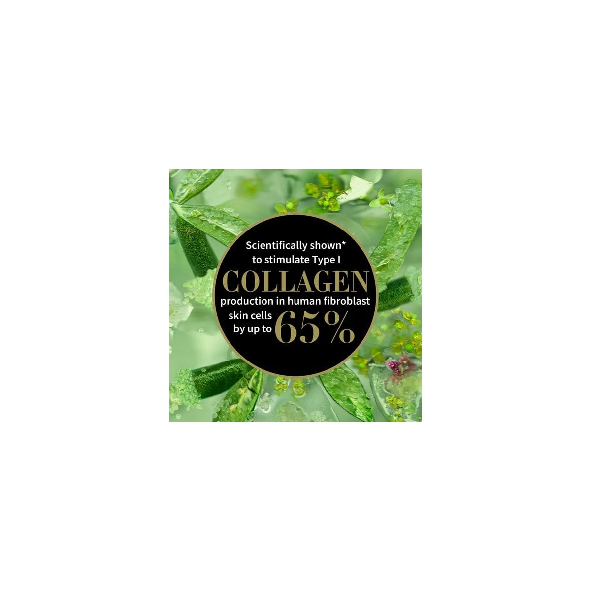 ANTIPODES Lime Caviar Crème Raffermissante Riche en Collagène