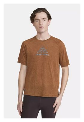 Maillot manches courtes running Craft ADV Trail Wool Marron
