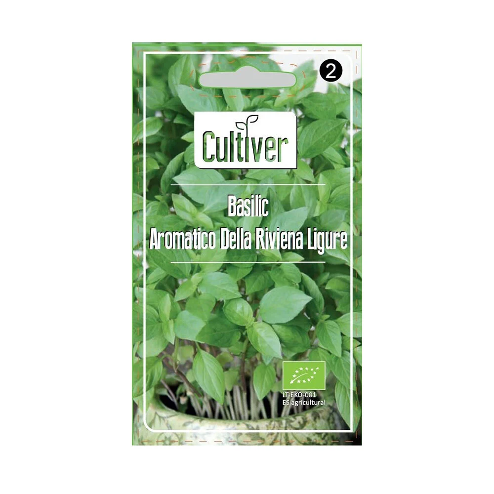 Semence de basilic aromatique de Liviera Ligure