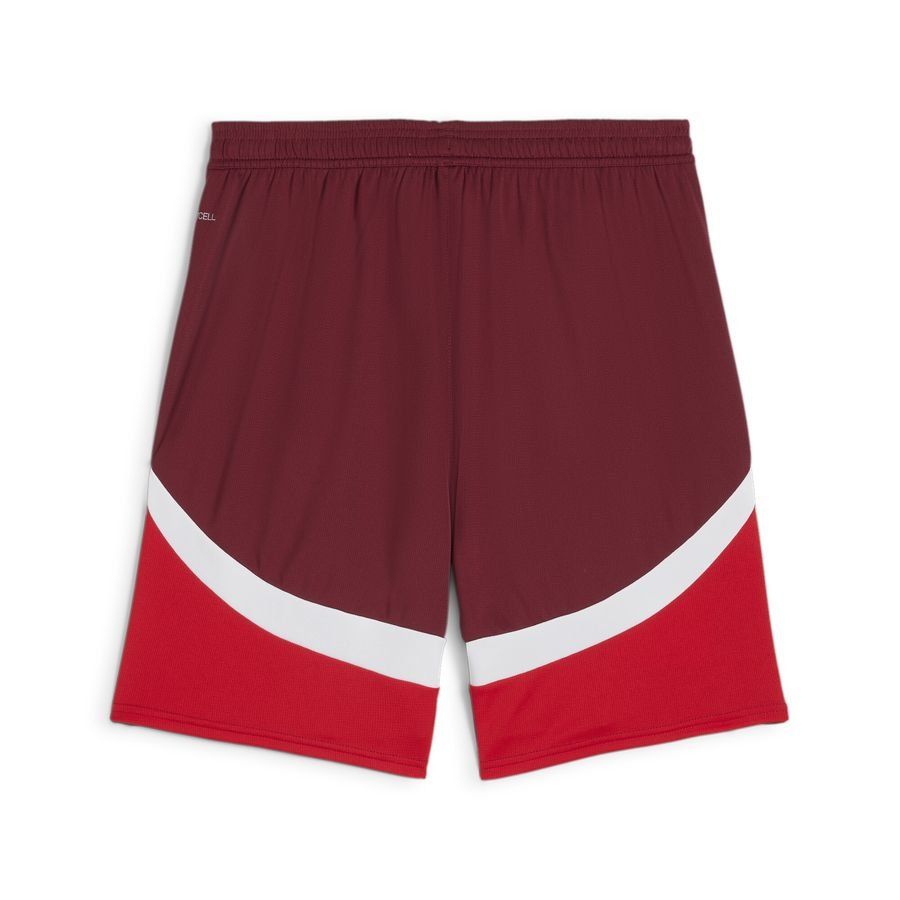 Puma Short de football 2024 Suisse Homme