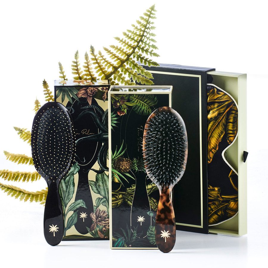 Fan Palm Wet brush Octopus Medium