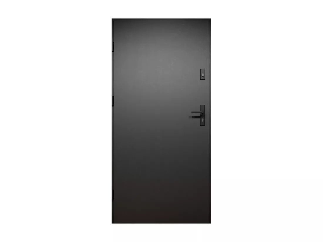 Porte d'entrée pleine en acier H207 x L100 cm - Noir et effet chêne - poussant droit - MABENA