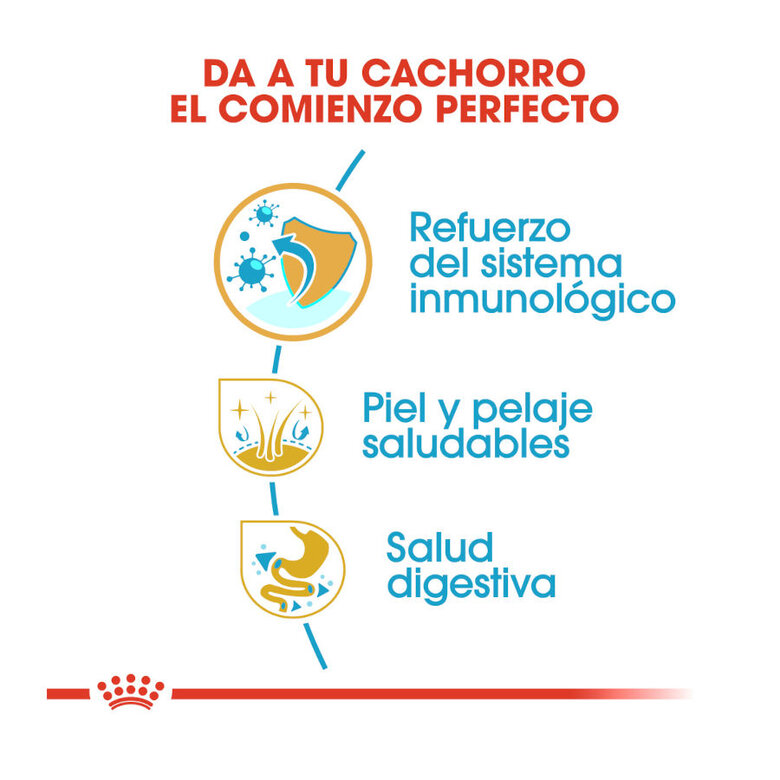 Ração Royal Canin para filhotes de Shih Tzu