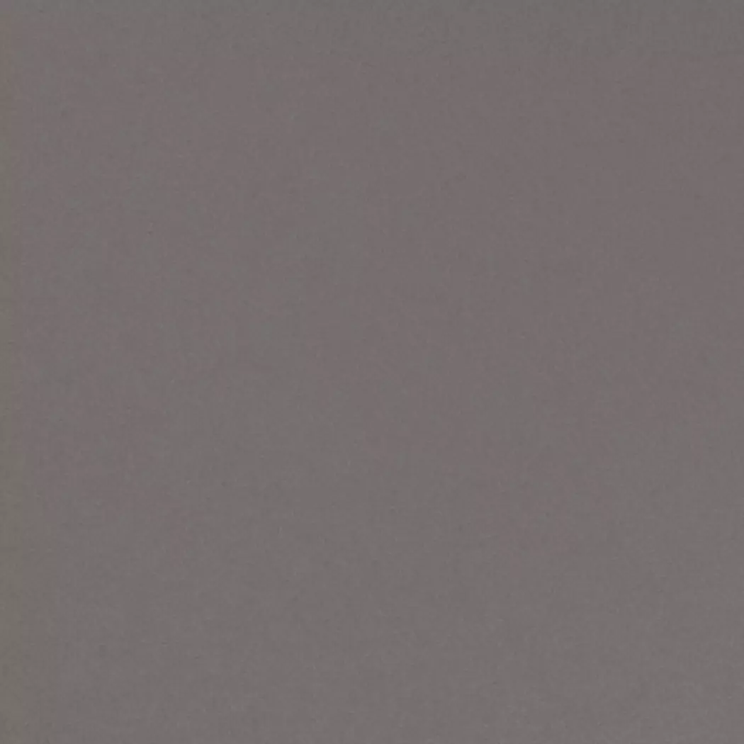 Speiseteller Basic Ø 26,8 cm