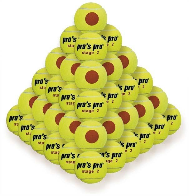 Pros Pro Stage 2 60er