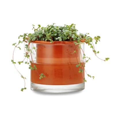 Pflanzgefäß Wet Pot Systems, Ø 15 cm