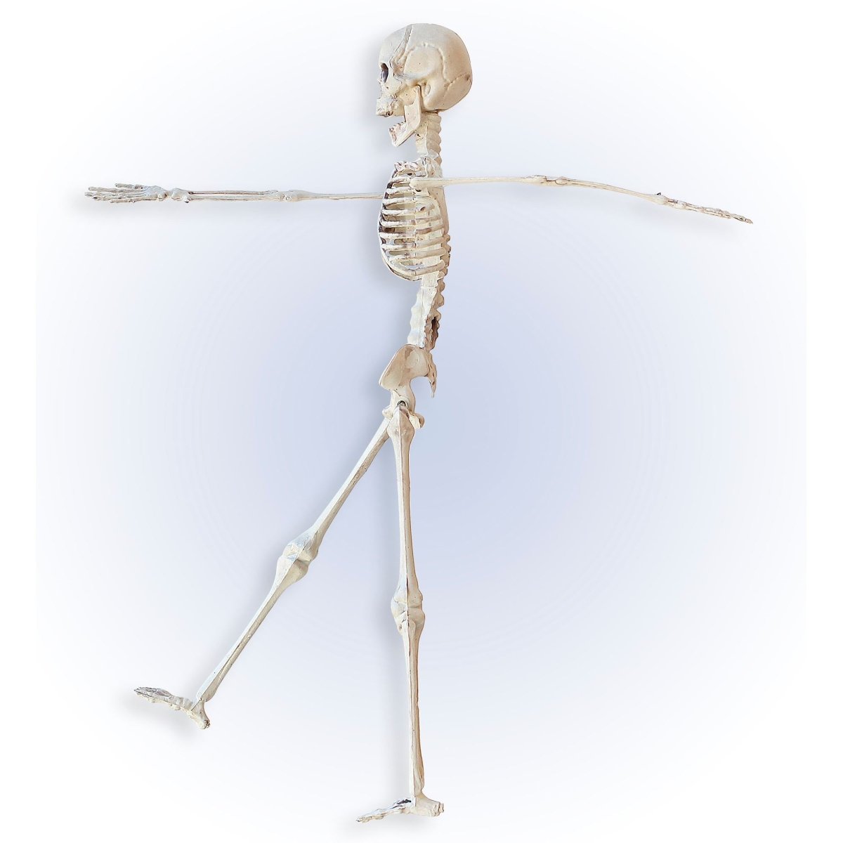 Halloween Skelet Beige 40cm