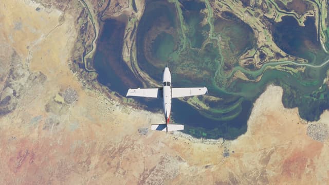 Microsoft Flight Simulator
