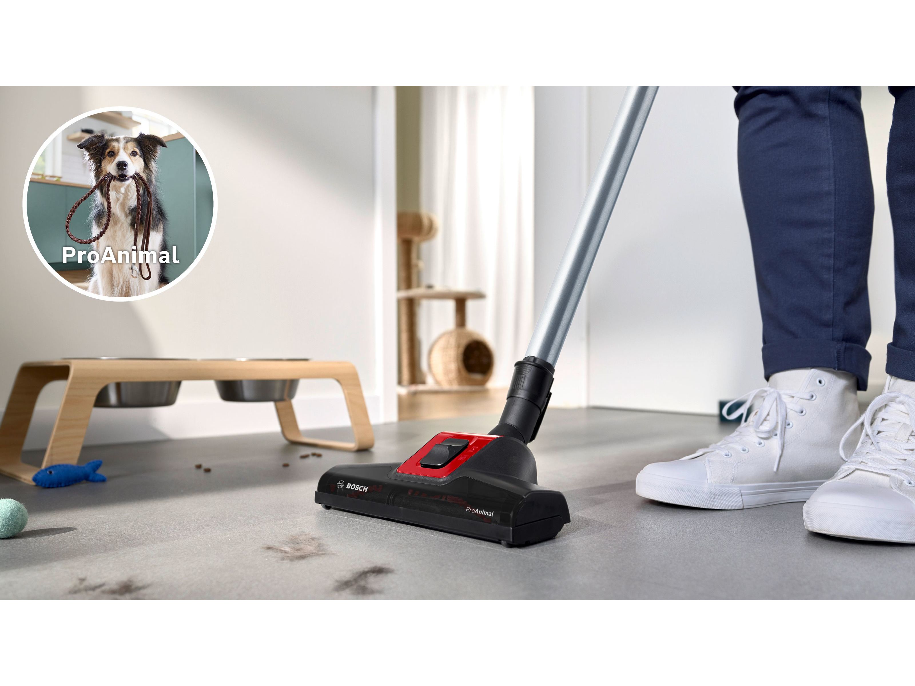 ASPIRADOR COM SACO BOSCH BGB8PET3A SERIE 8 PRO ANIMAL