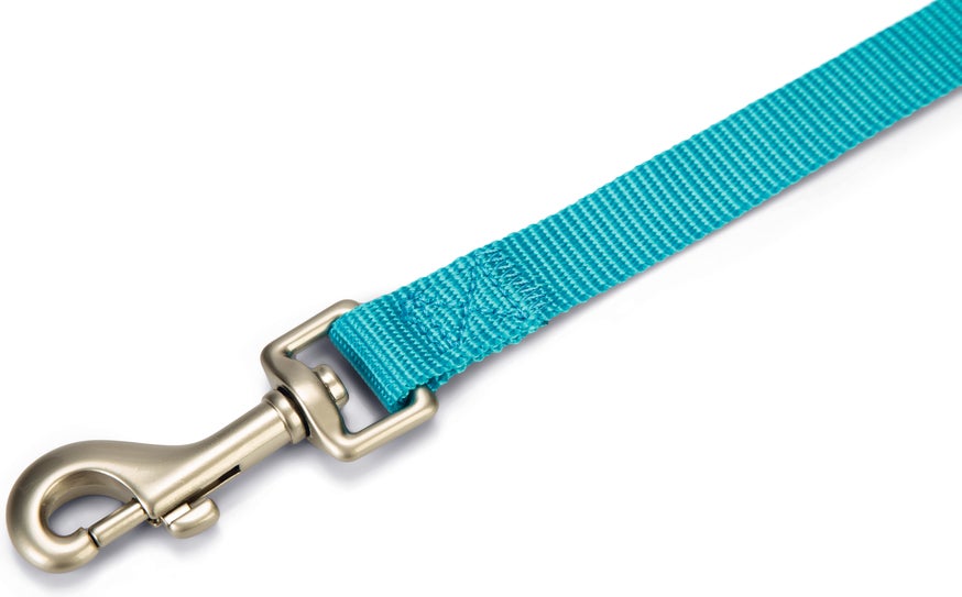 Beeztees hondenriem Uni blauw 120 x 2 cm