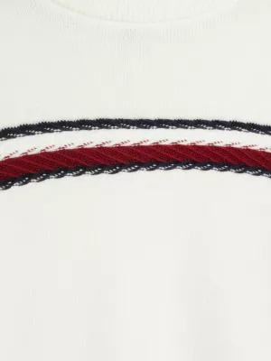 Suéter de gola redonda com estampa listrada global em jacquard