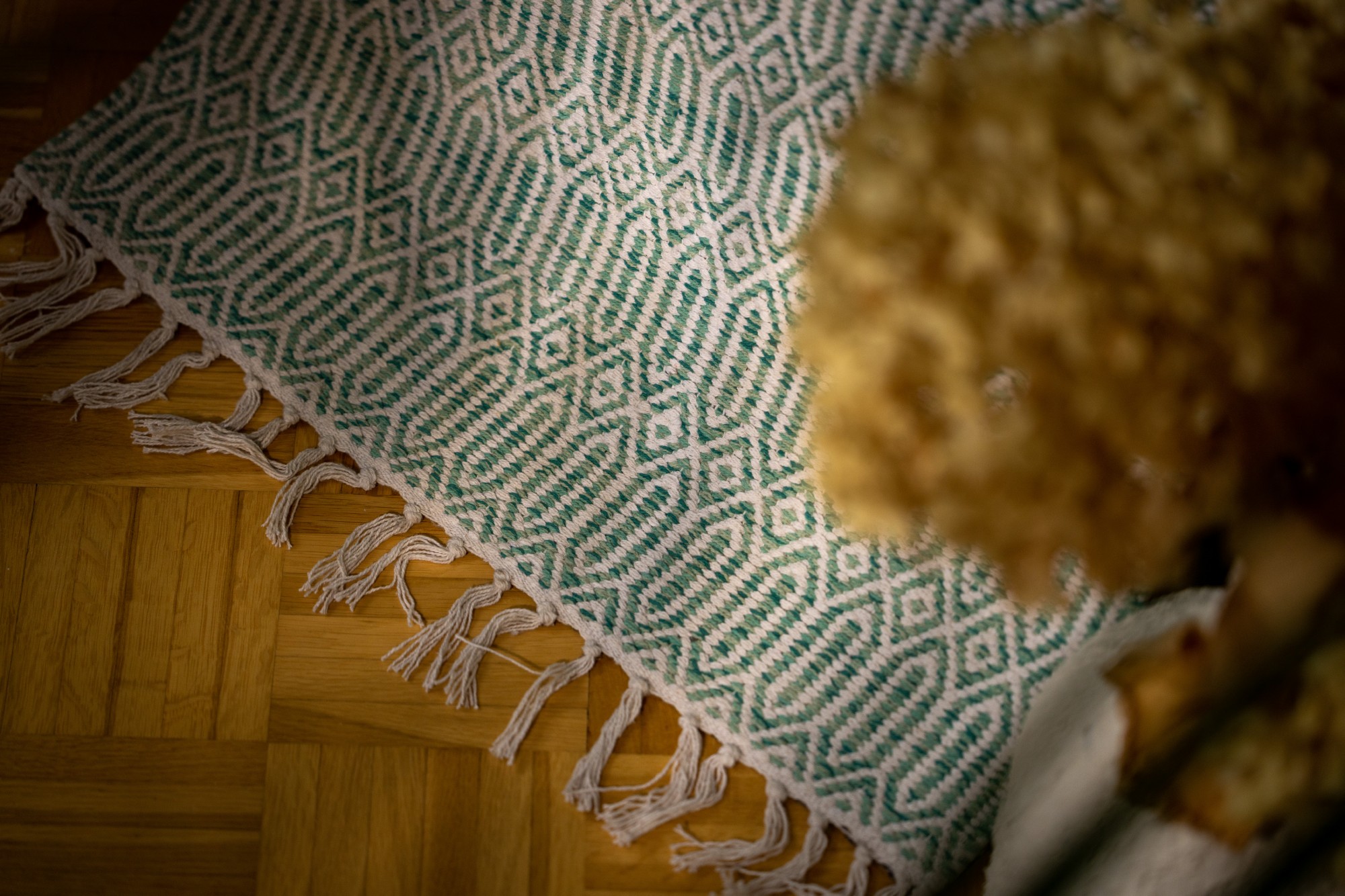 Mini-Rug 'Morda', türkis, T 60 cm, B 90 cm von fischer's lagerhaus