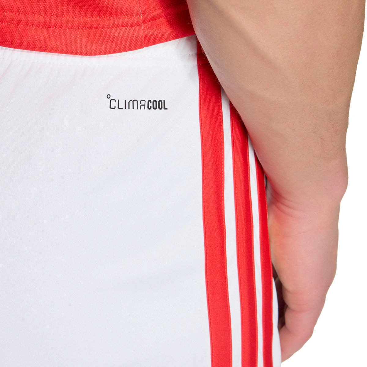 Calções adidas SL Benfica Primeiro equipamento 2026-2027