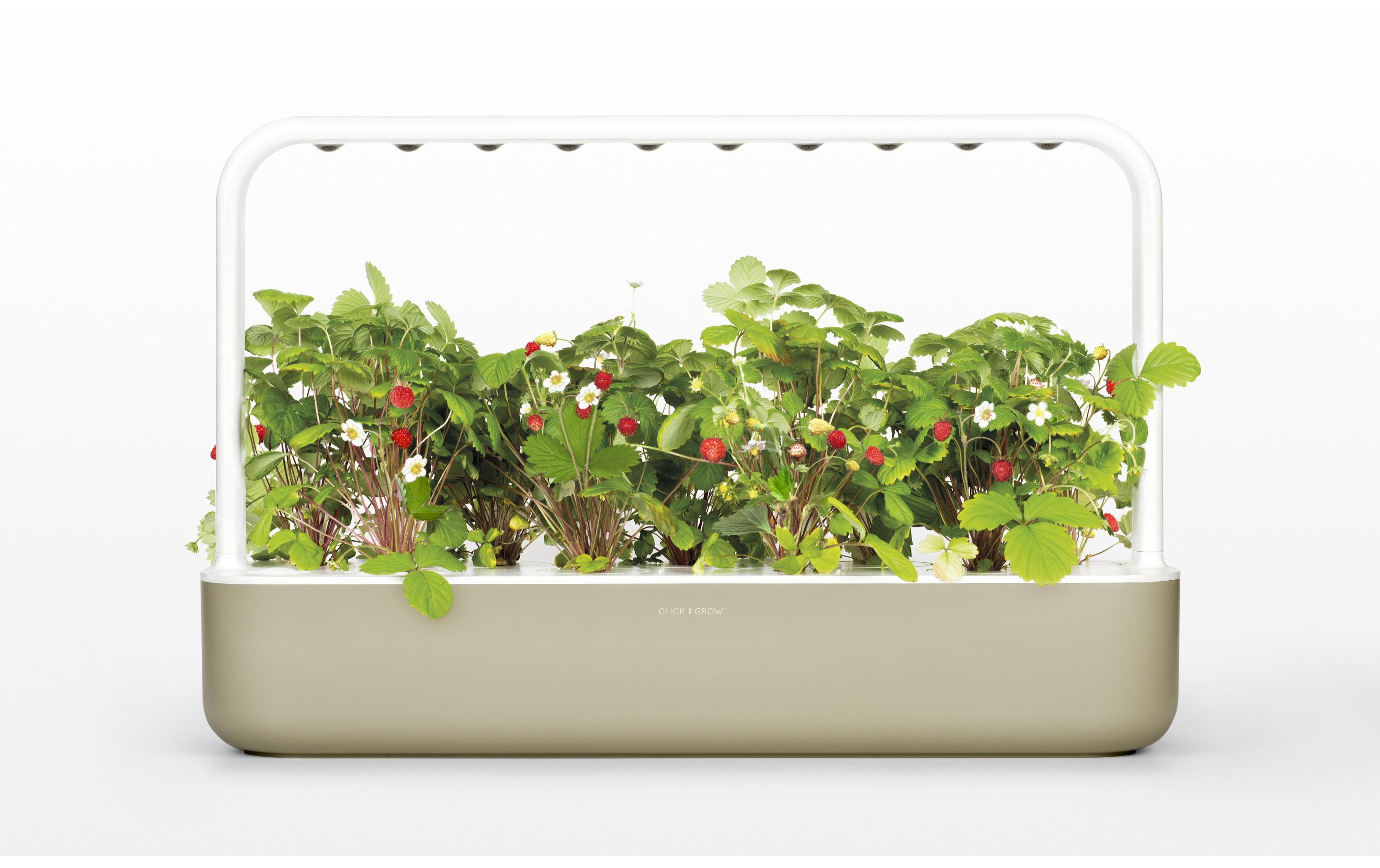 Kräutertopf Smart Garden 9 Beige<br>Intelligentes Pflanzengefäss