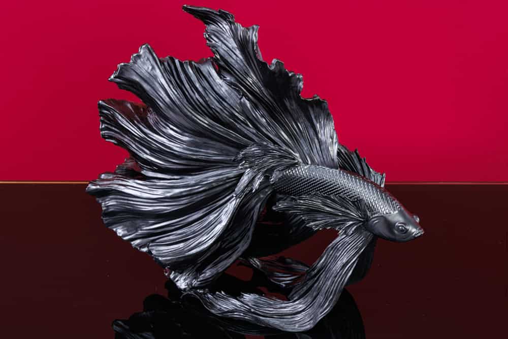 Design Deko Figur Kampffisch CROWNTAIL 35cm schwarz Betta Fisch Skulptur