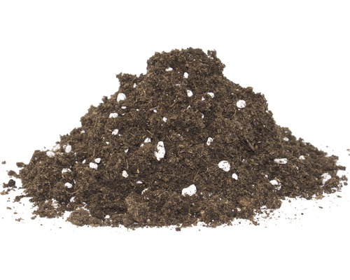 Vleesetende Plant Bodem Floragard 3 L
