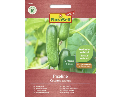 Picolino snackkomkommer FloraSelf Select F1 hybride groentezaden