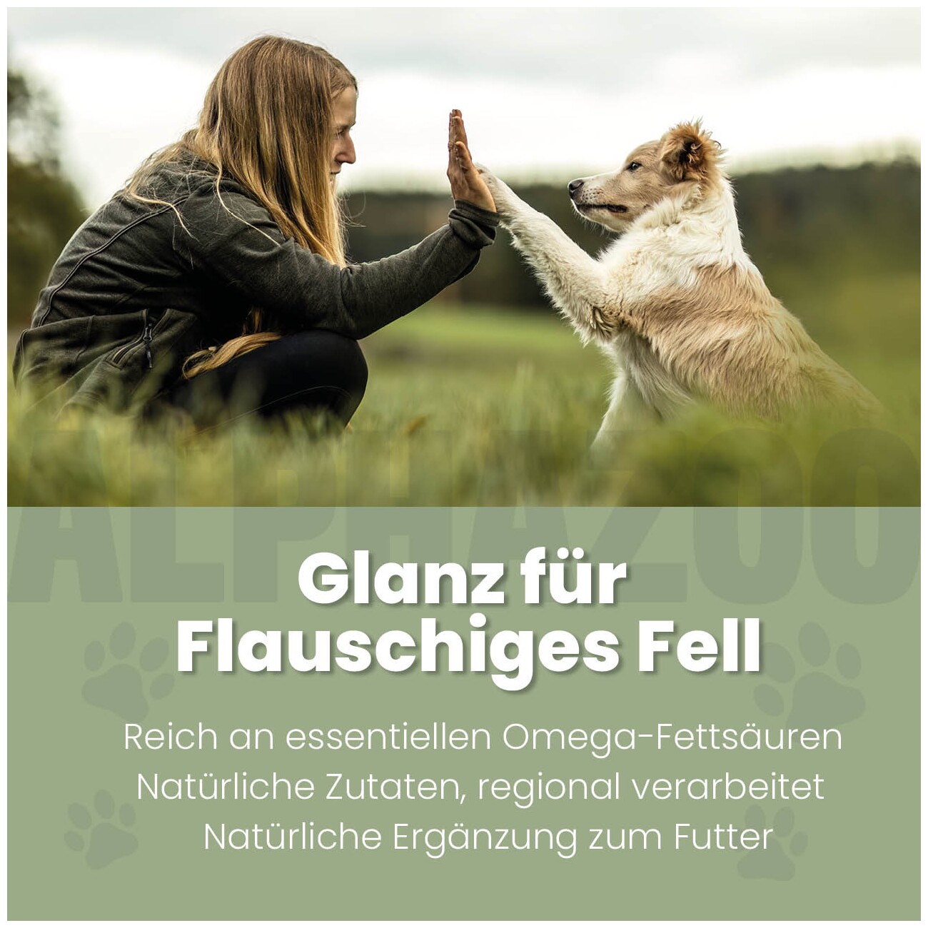 ALPHAZOO Fellliebe Futteröl für Hunde