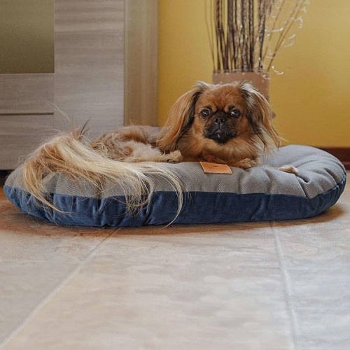 Almofada para animais de estimação Ferplast Stuart 65/6